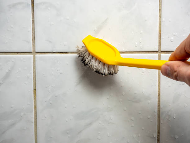 Best Mold Remediation  in Bostonia, CA